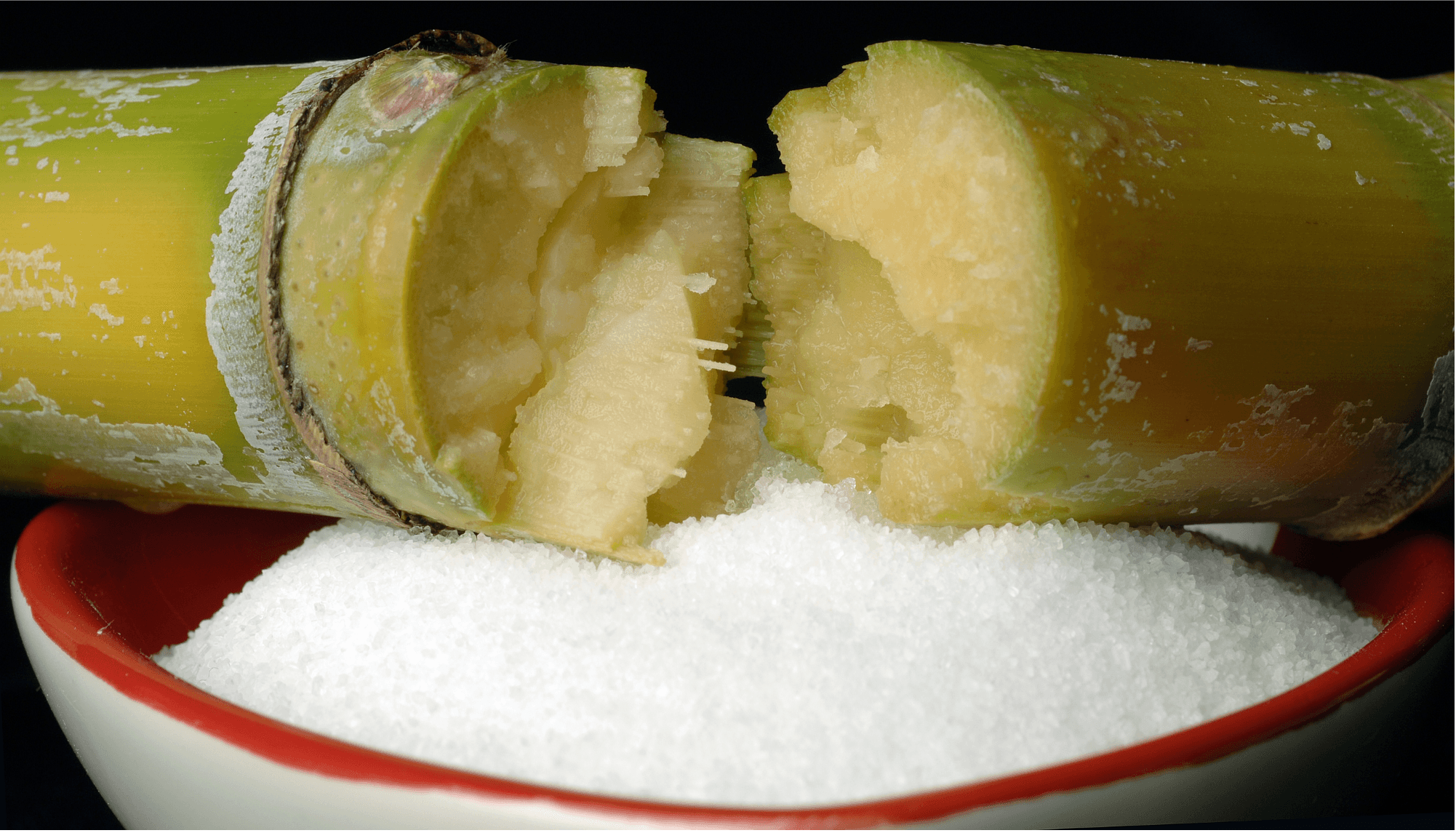 broken sugarcane stalk on a bowl of granulated sugar