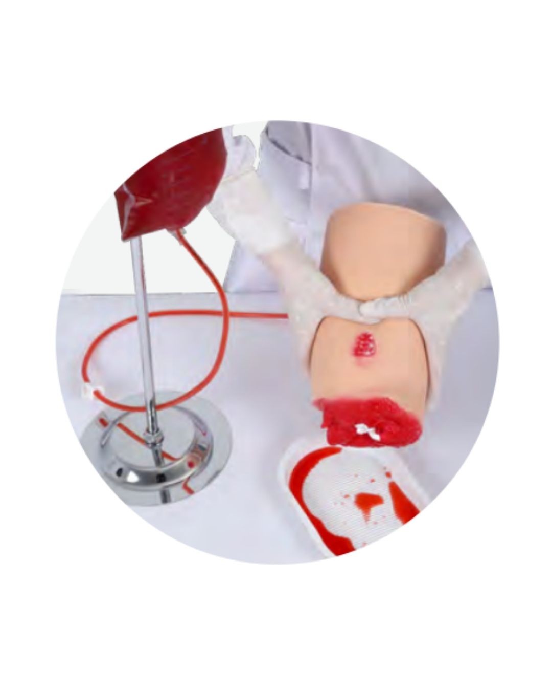 Leg Amputation and Stop Bleeding Model
