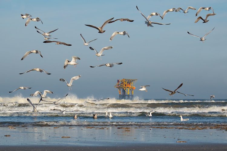 off-shore rig in the distance
