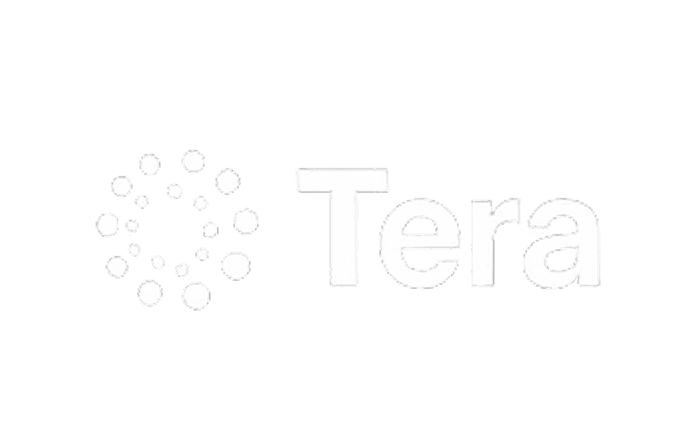 Logo featuring the word "Tera" alongside a stylized snowflake.
