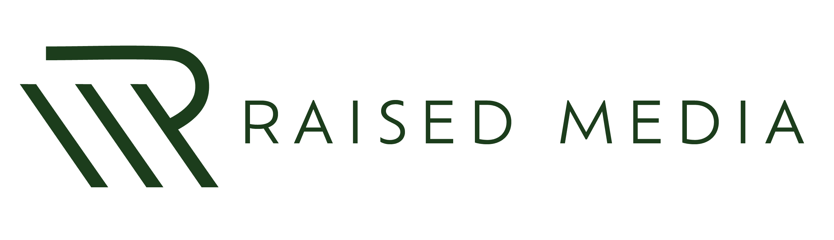 Raised Media Co. Logo - Video production & Commercial photography services NYC
