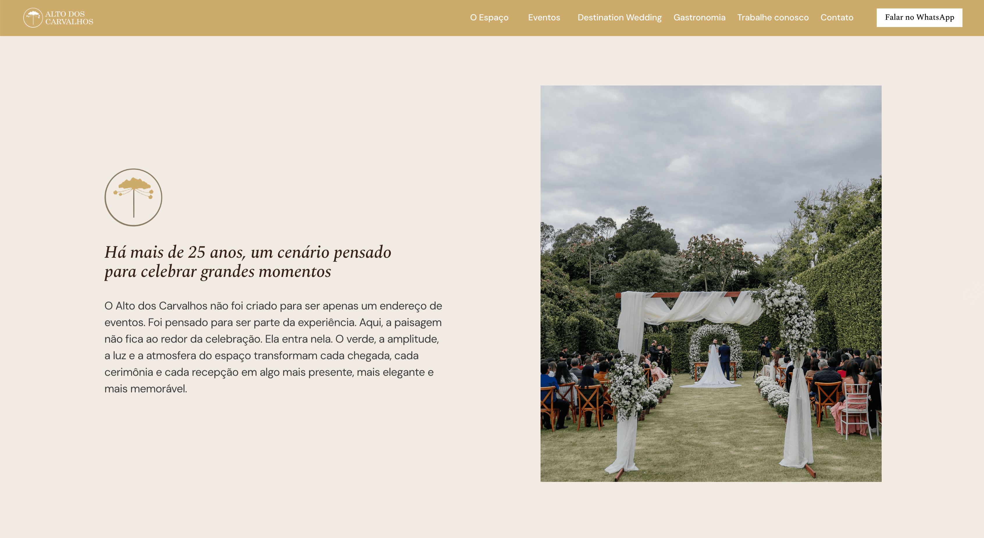 Portolio image 2