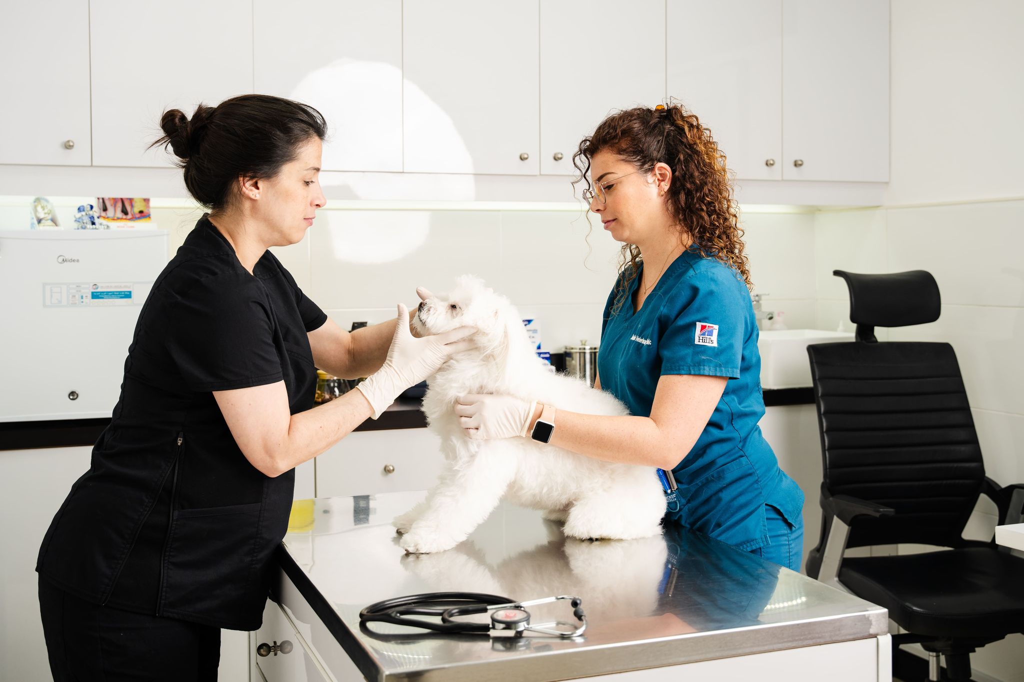 A veterinarian is holding the face of a white dog while another vet is carefully keeping it still.