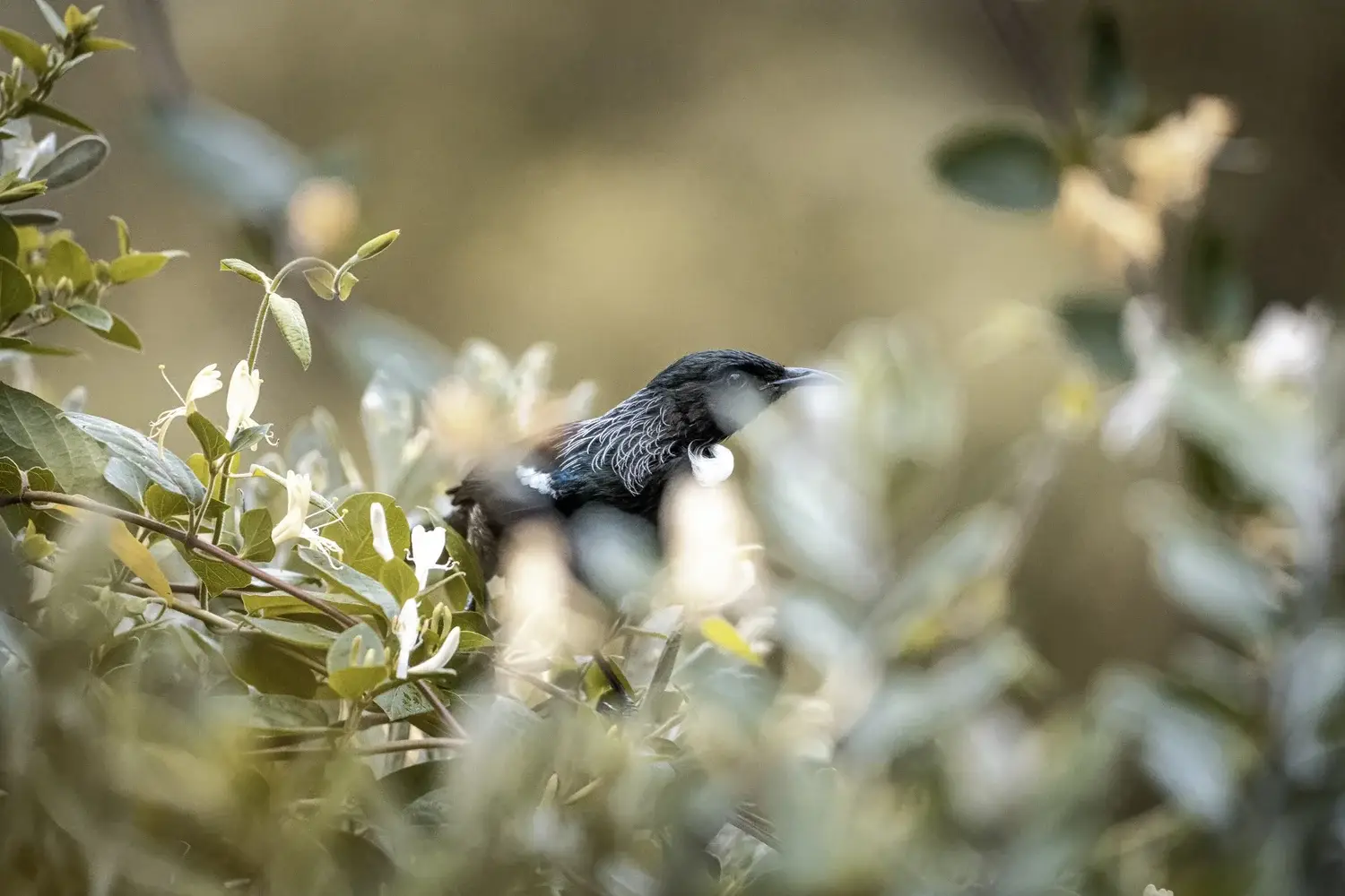 Striking Portrait with Bold Expression