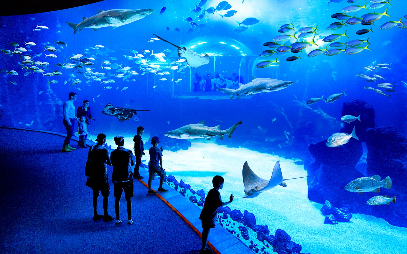 Besucher, die das Meeresleben im Poema del Mar Aquarium beobachten, in dem Haie und Rochen zu sehen sind.