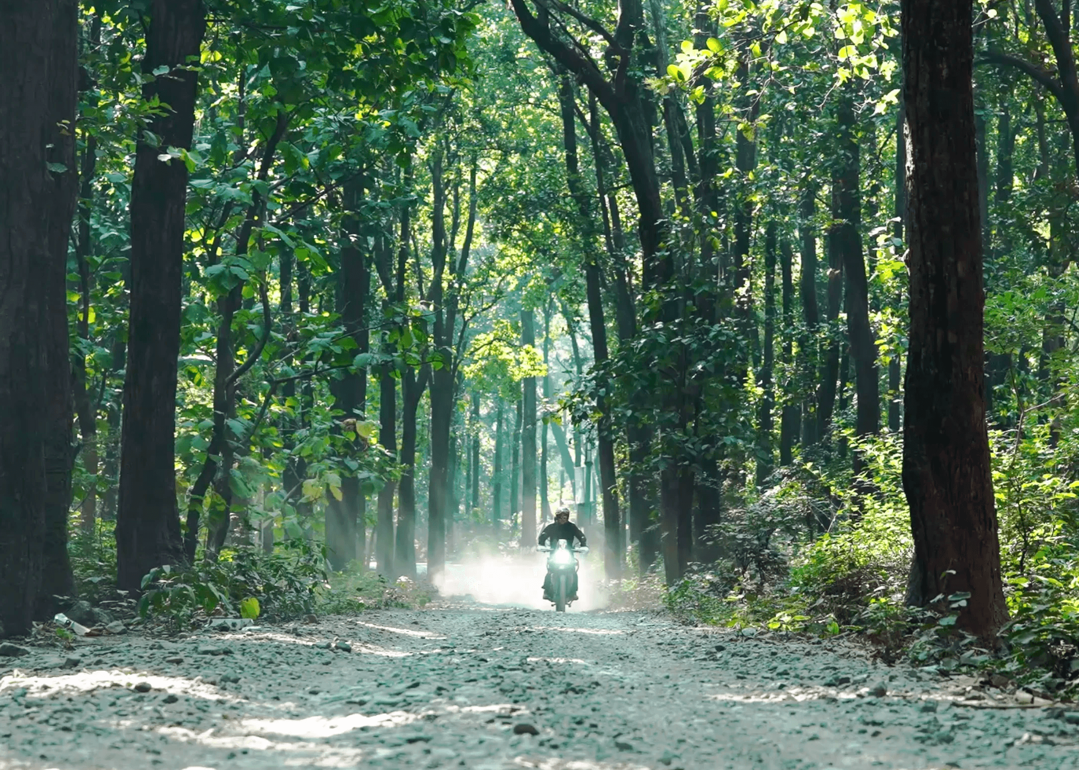 Black-and-white concert photo of a guitarist at a microphone in a crowded venue.