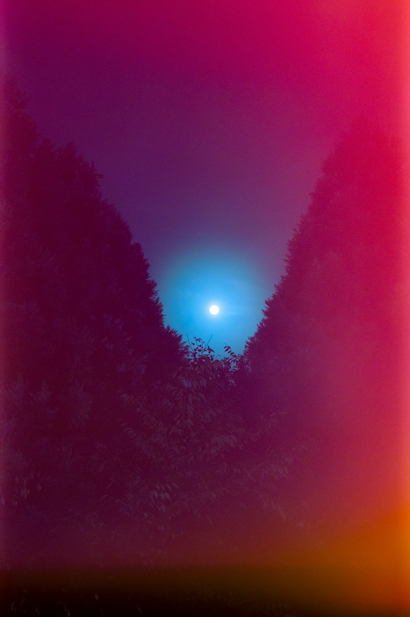 Taisei Matsumoto, index photograph 09