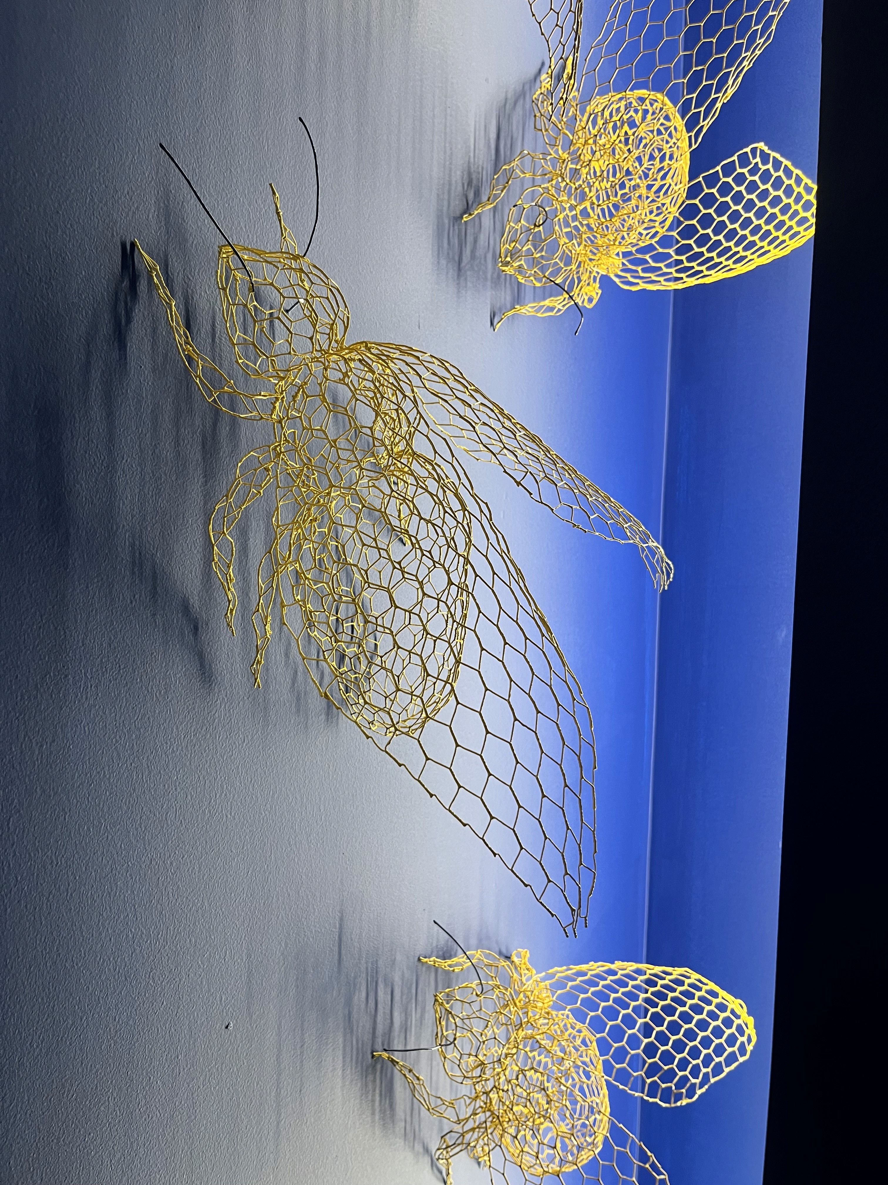 Project gallery image 2