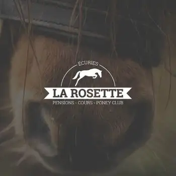 Miniature du projet d'identité visuelle pour les Écuries de la Rosette