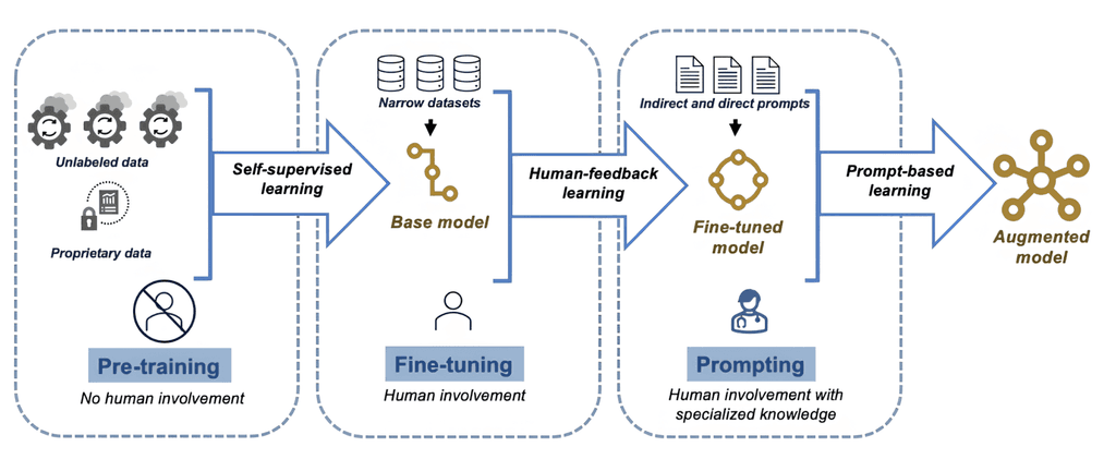 The backbone of large language models: understanding training datasets