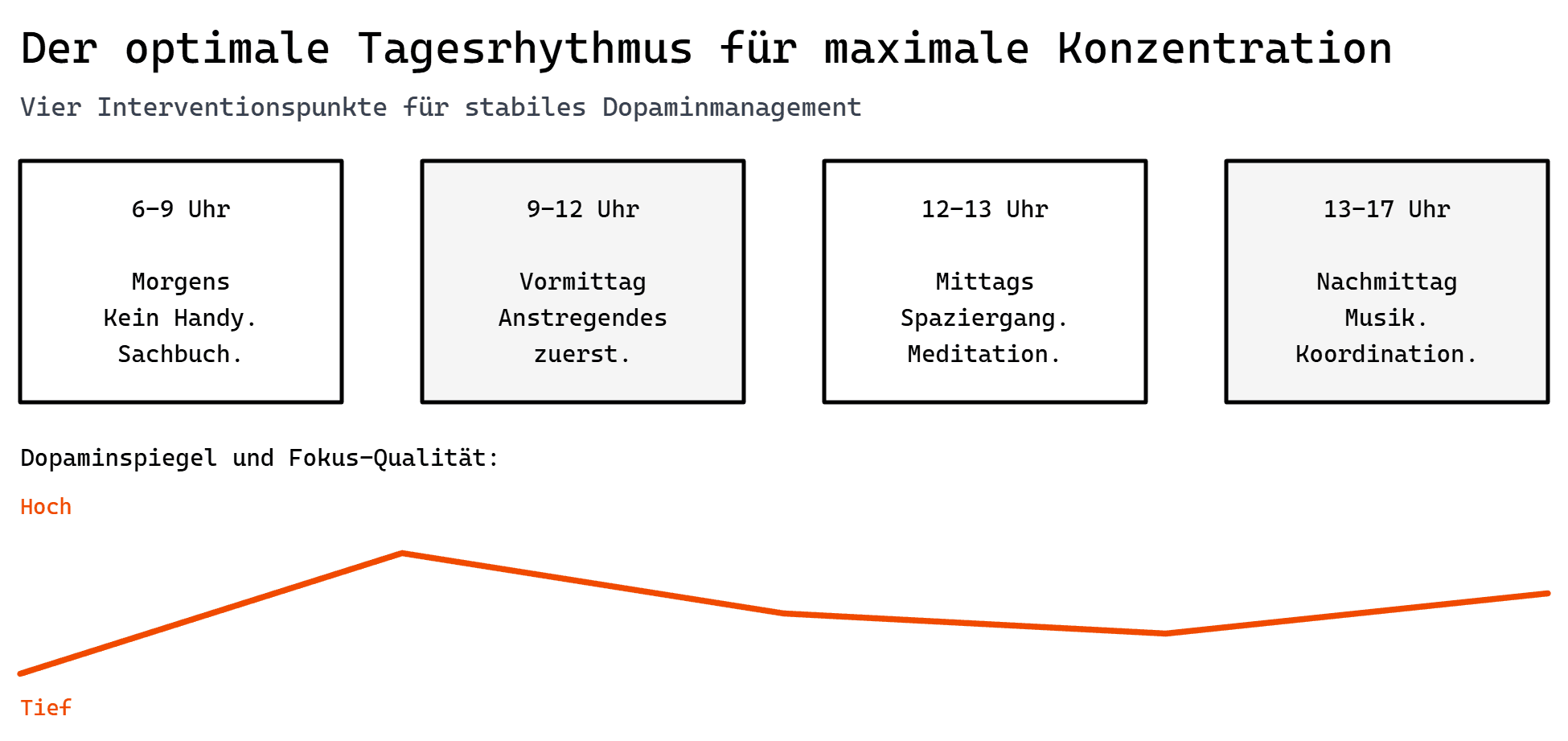 Optimaler Tagesrhytmus für Konzentration
