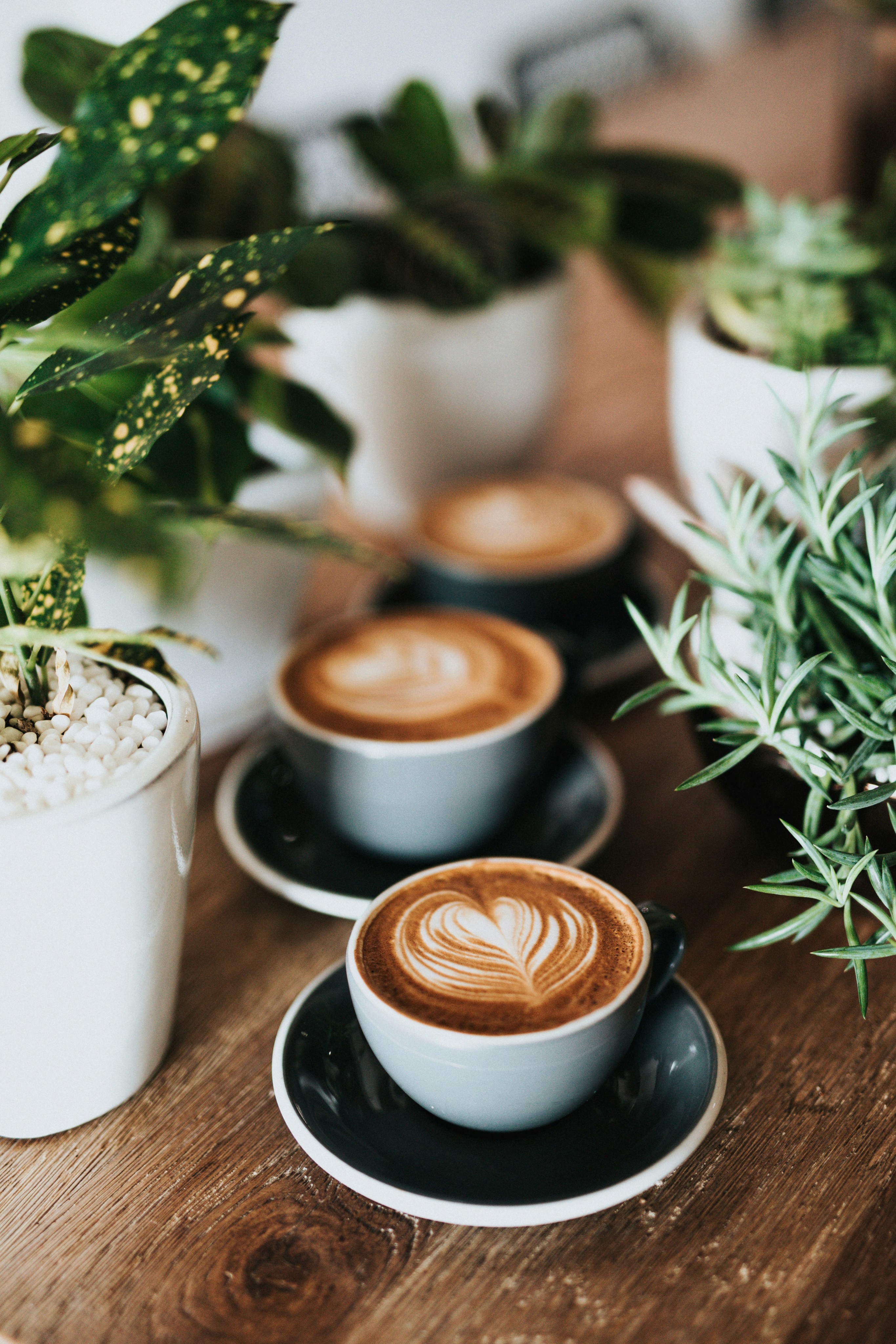 Vers gezette koffie in een rustige cafésfeer in Scheveningen