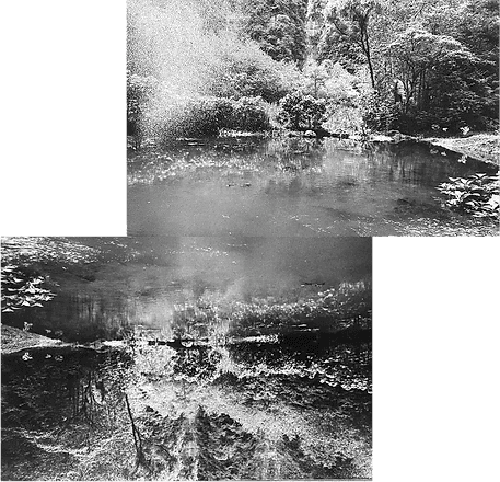 Ideograma #3, 42.2 x 40.6 cm, Ampliaciones impresas en plata gelatina sobre papel de resin