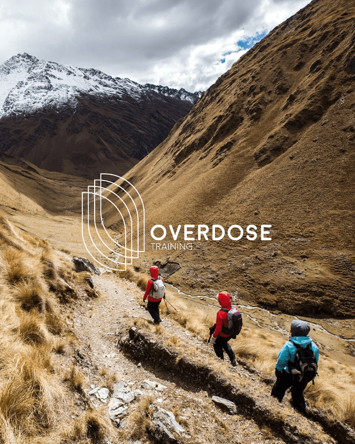 OVERDOSE TRAINING CHILE Web Design