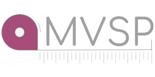 Minimum Viable Secure Product (MVSP)