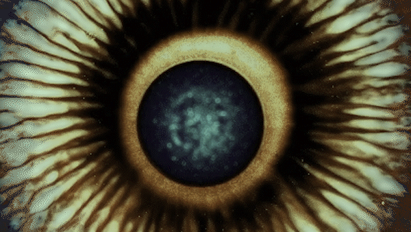 about image 3