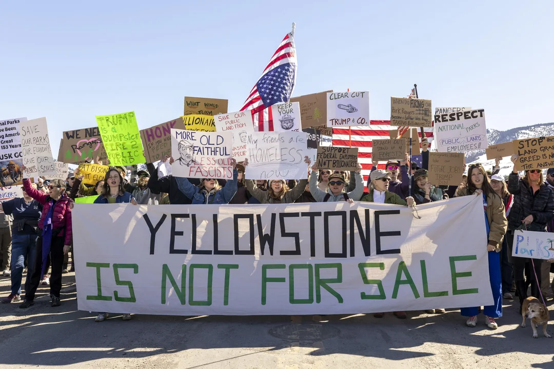 Protesters gather at Yellowstone amid National Park Service Layoffs