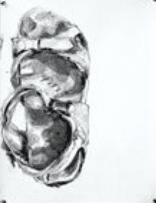 herd of sheep on road painting