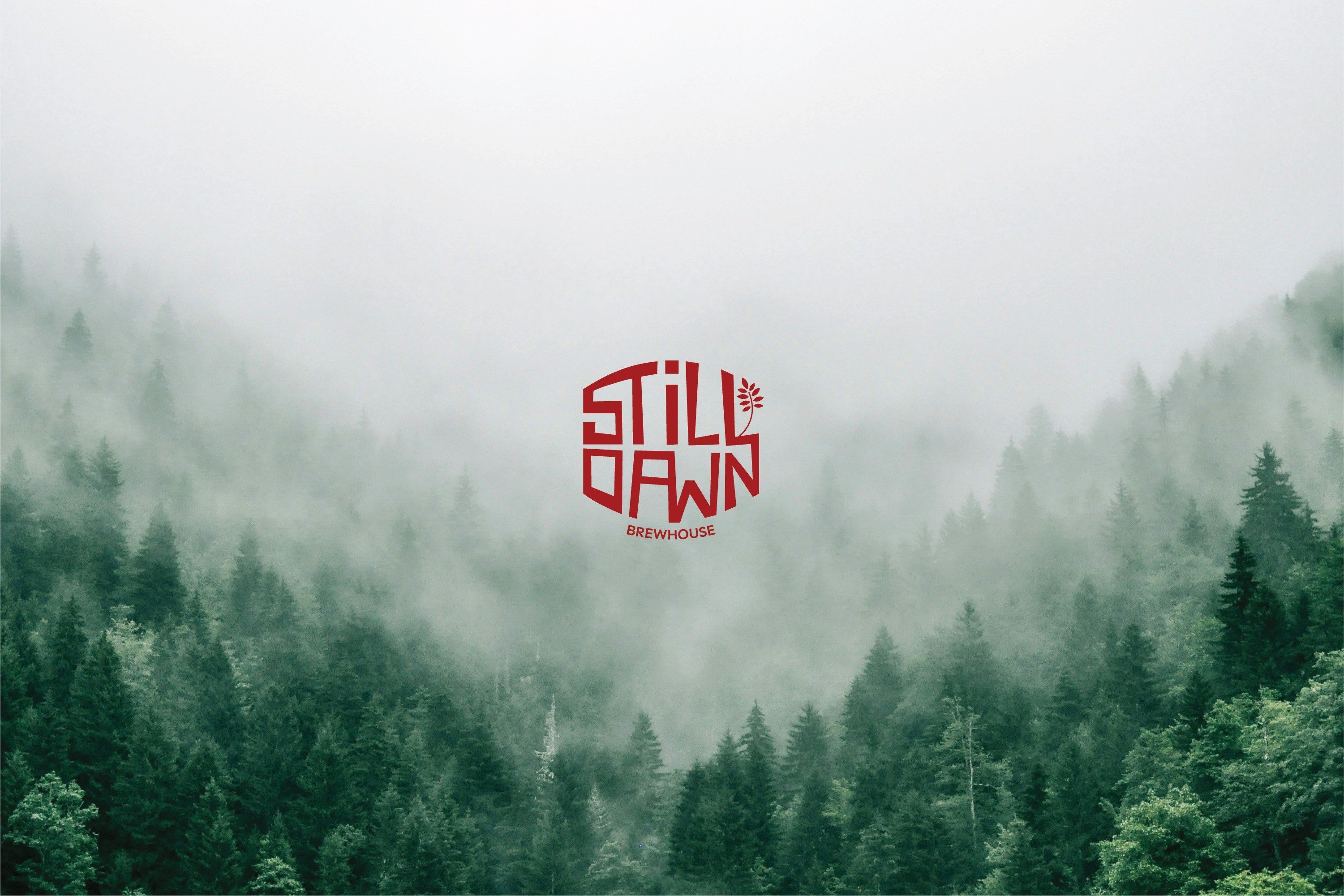 Still Dawn project cover image