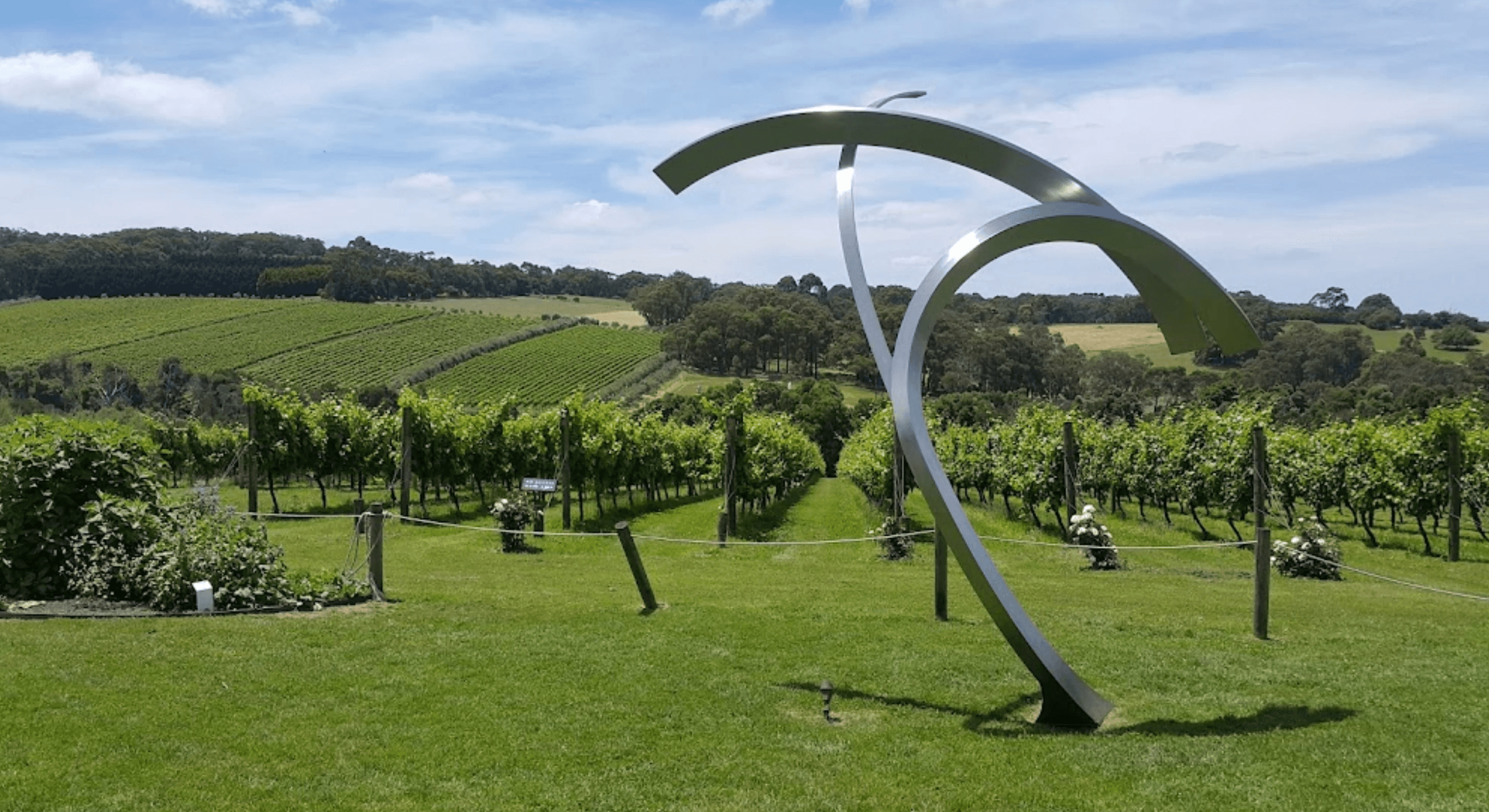 Montalto Winery VIC