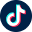 Tiktok icon