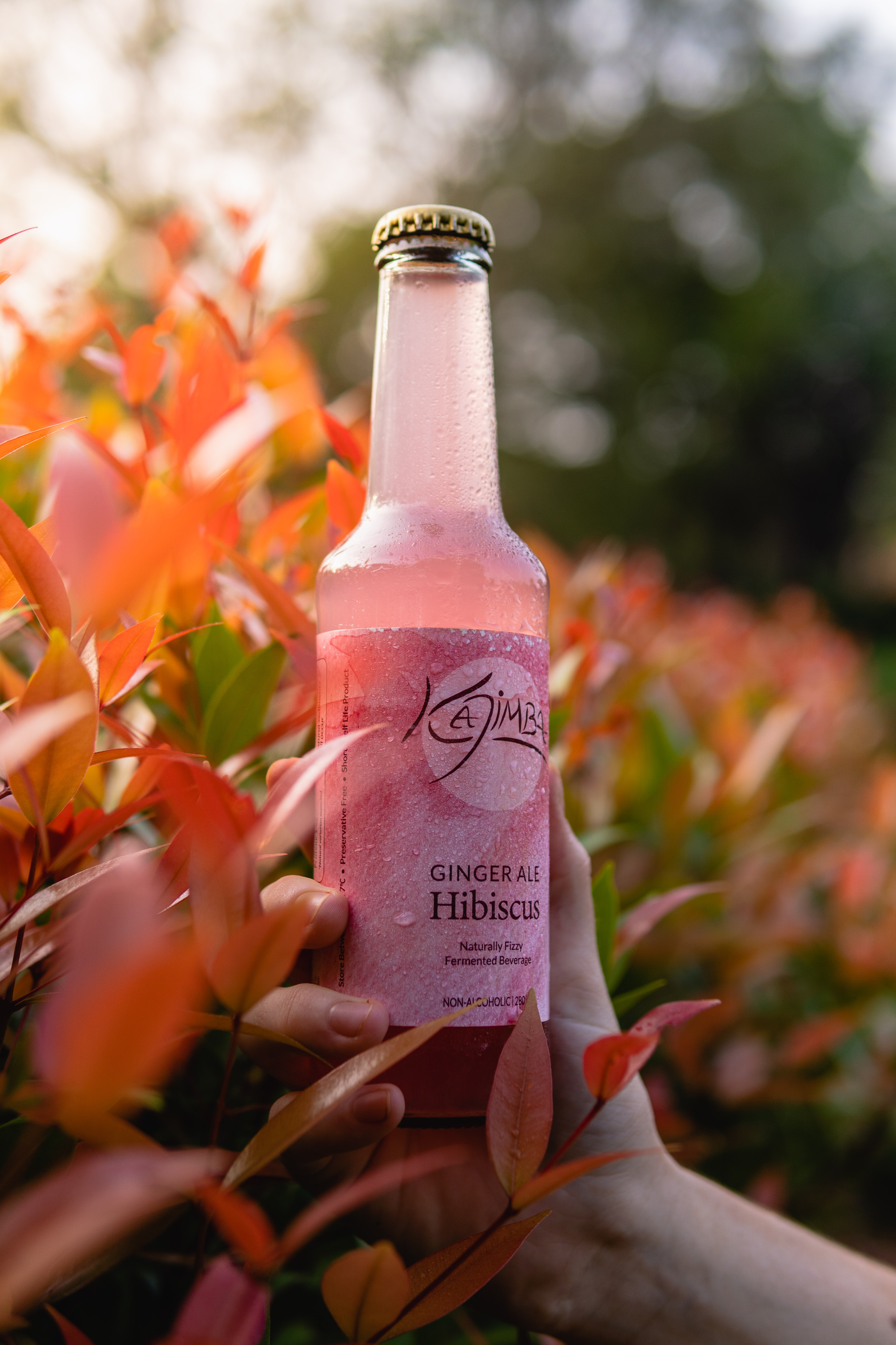 Hibisucus Kajimba bottle next to a glass filled with Kajimba and adorned with a hibiscus petal.