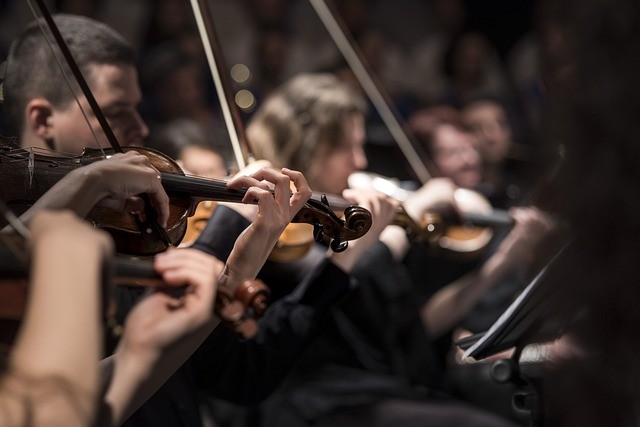 people playing strings