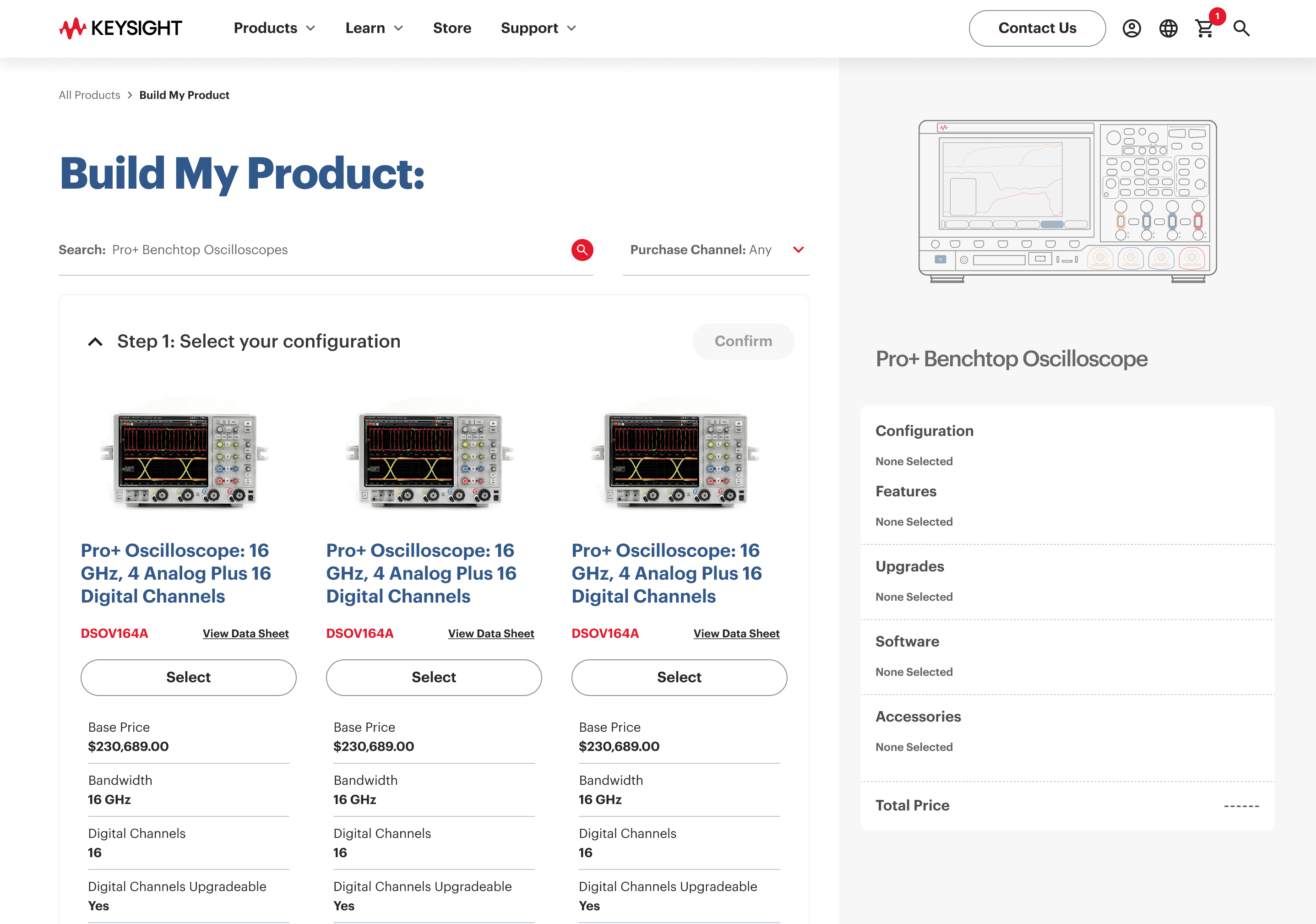 Carlyle.com Homepage completed