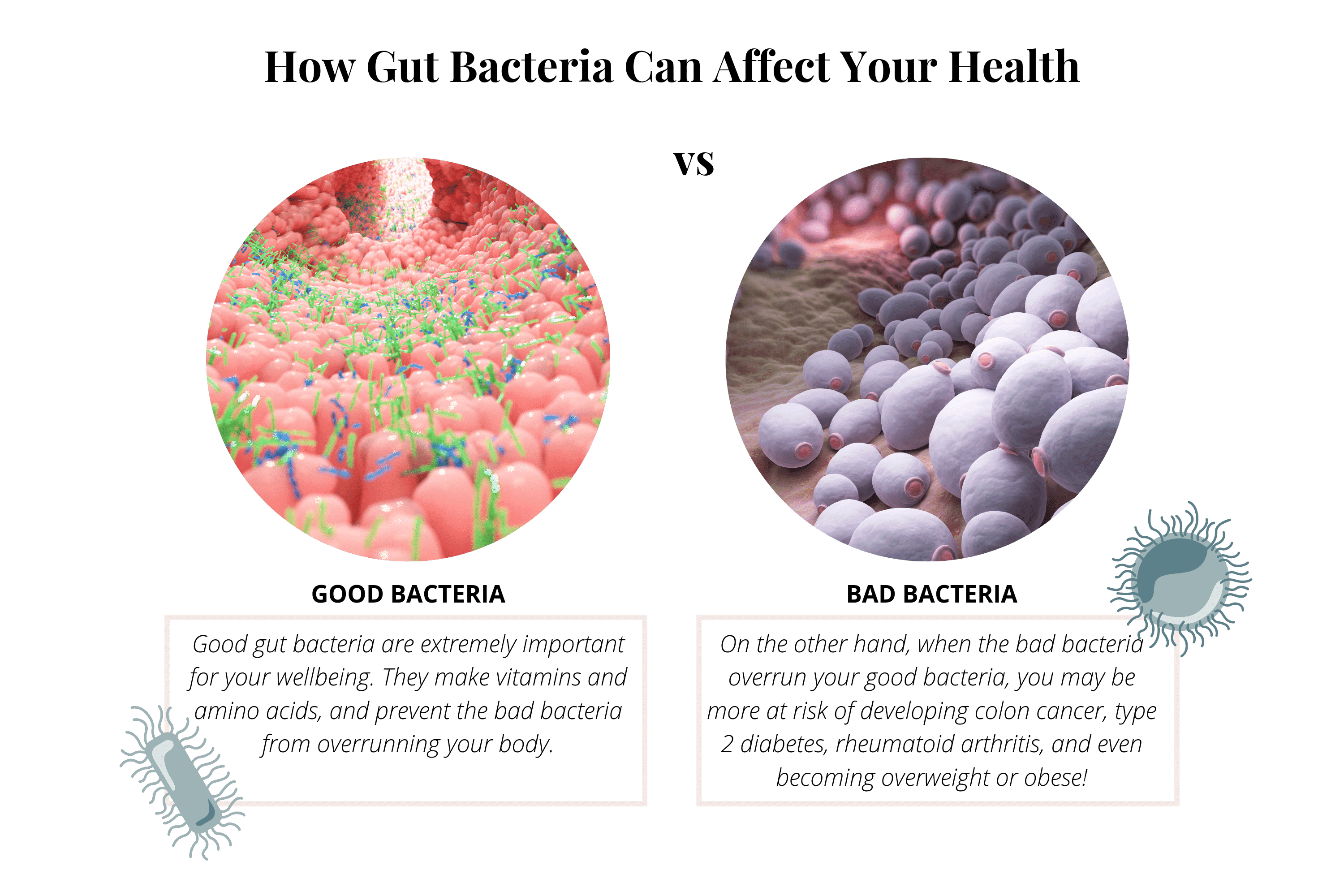 Illustration comparing good bacteria and bad bacteria in the gut microbiome