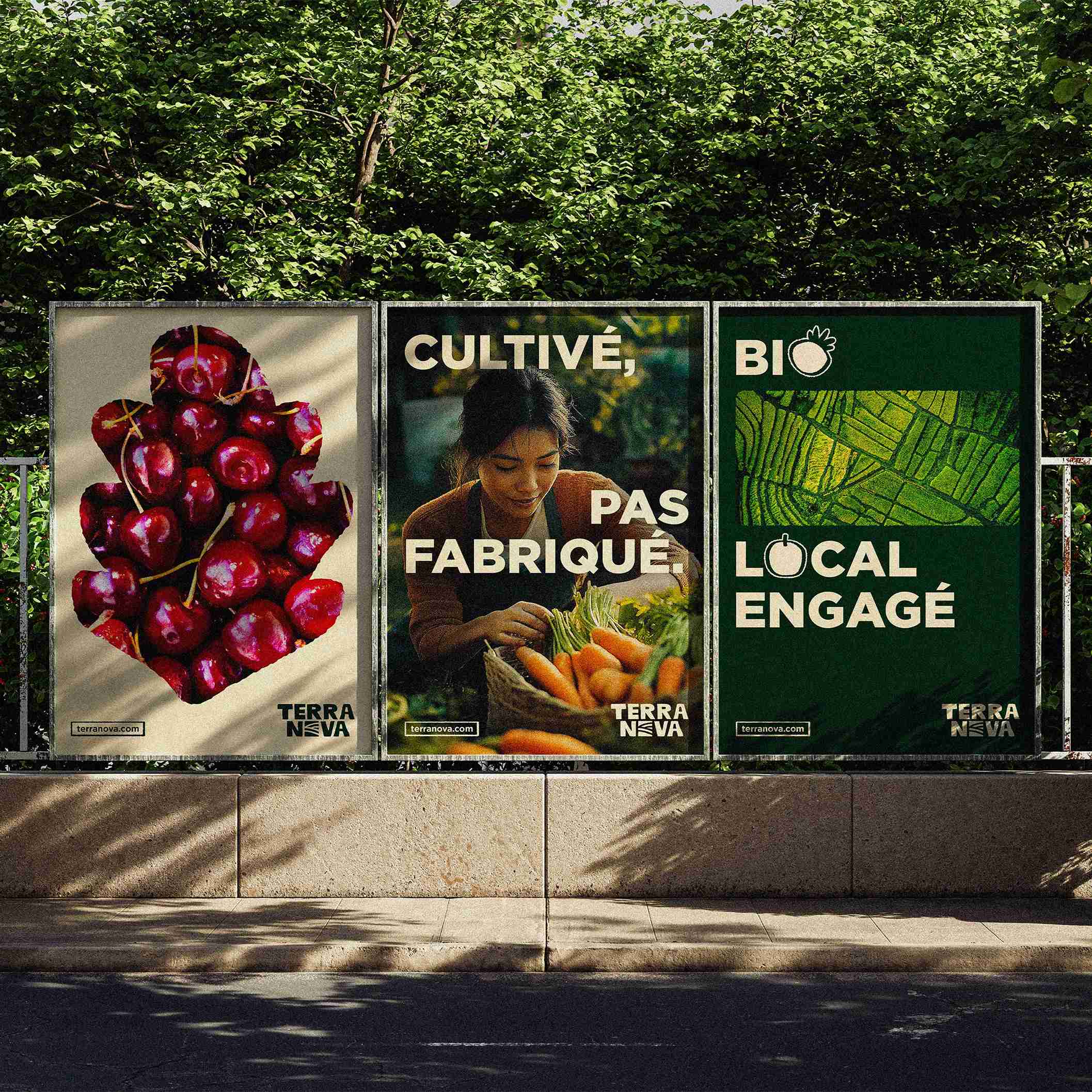 terranova-visuel-affiches-verticales-square