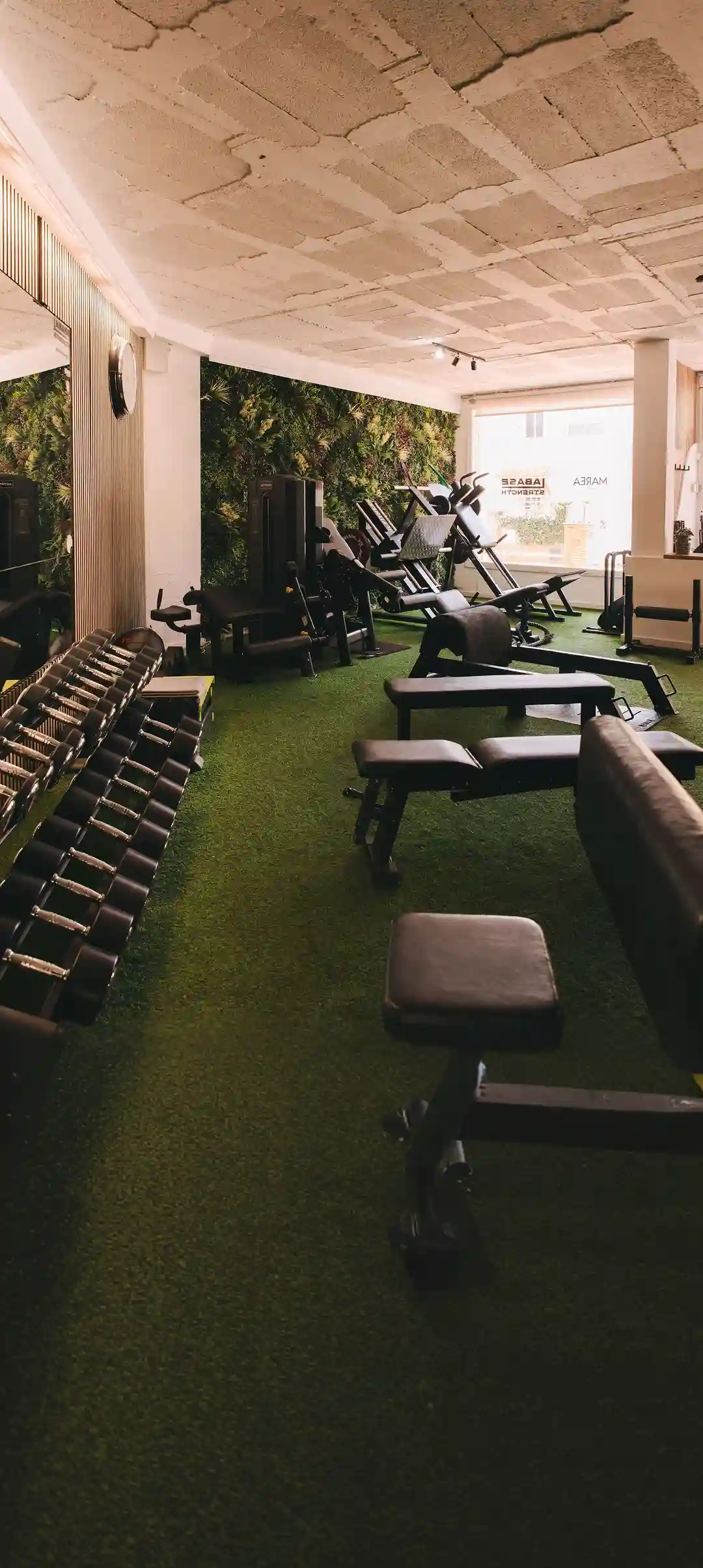Gimnasio de entrenamiento personal, La Base Strength en Vilanova i la Geltrú y SItges