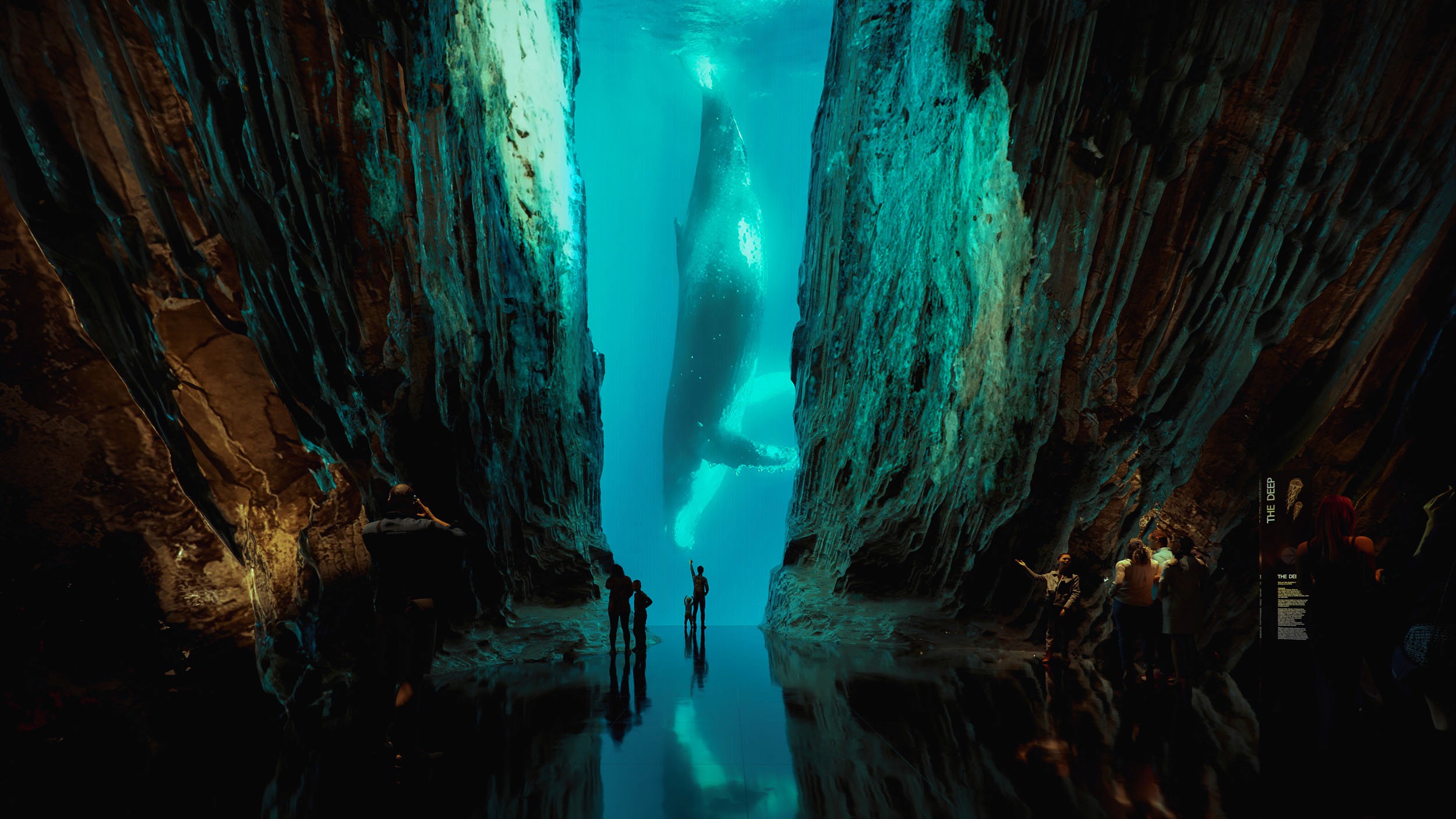 Architectural CGI showing underwater scene with whale.