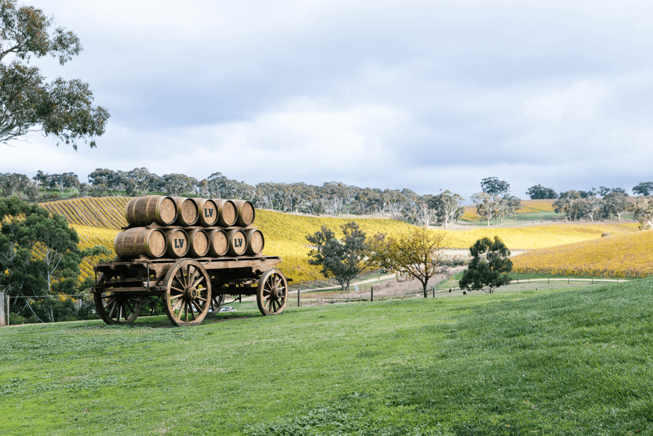 Longview Vineyard SA