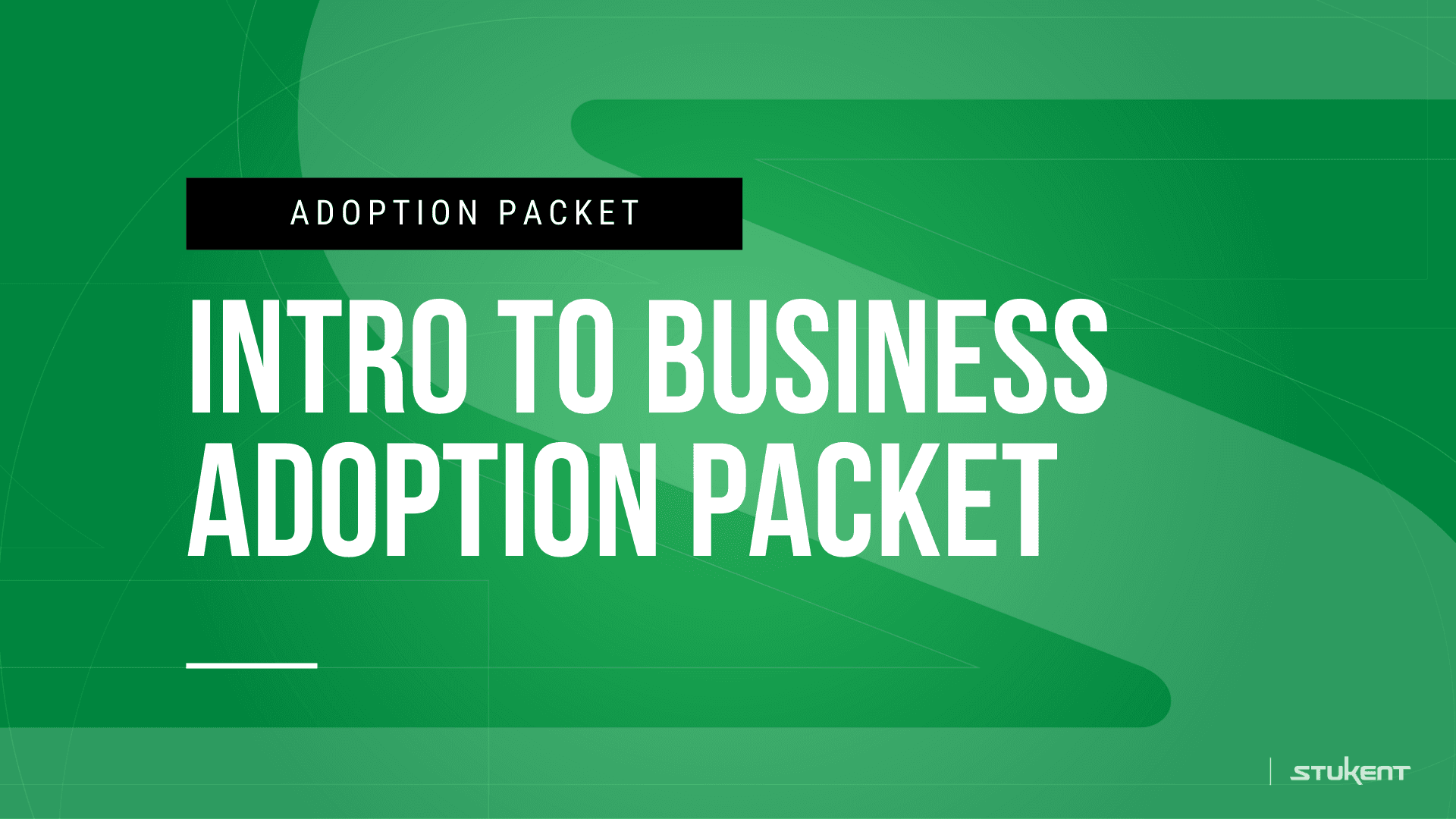 Adapting Social Strategies in a Shifting Digital Landscape