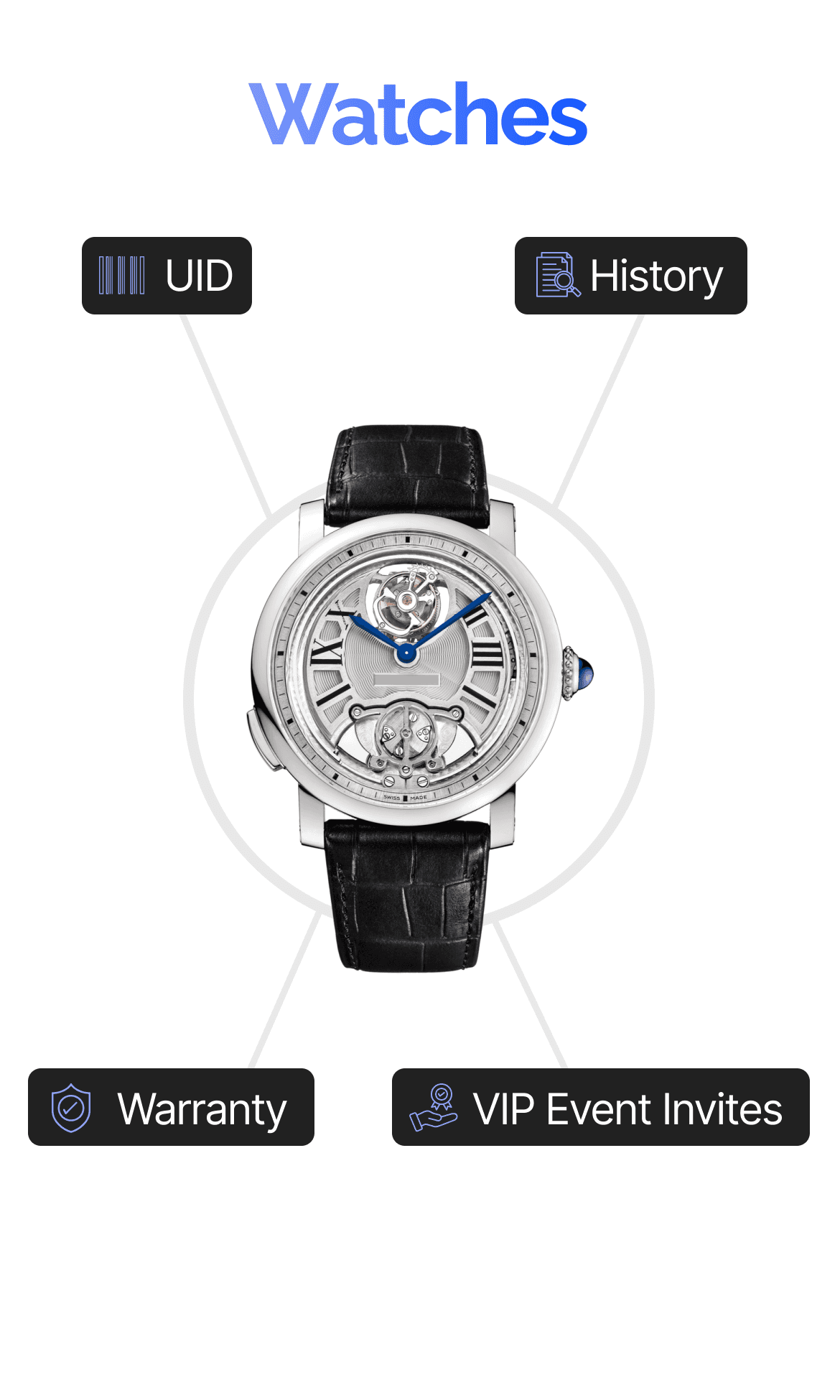 Picture of DPP Parameters of a Luxury Watch