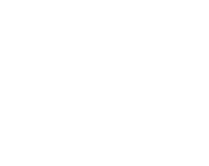 Logo FBIZ cliente Spark Maxx
