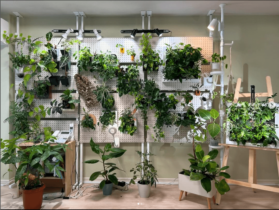 Midorie Canada wall hanging plant frames for homes easy care self watering clean using PAFCAL soil-less soil free soil less biophilic plant frames design forward Japan