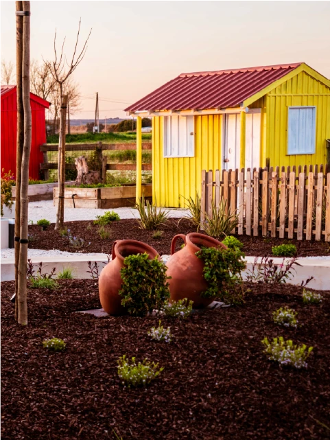 building covered with green plants and surrounded by petaled flowers