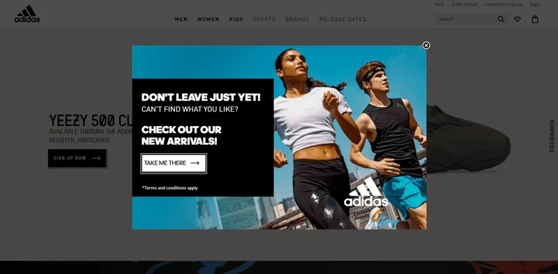 Adidas_Exit-Intent_Pop-up_Message_Example