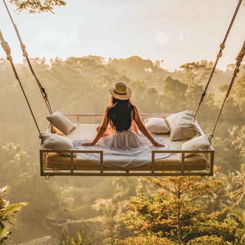 私家導覽 + 烏布的交通票券