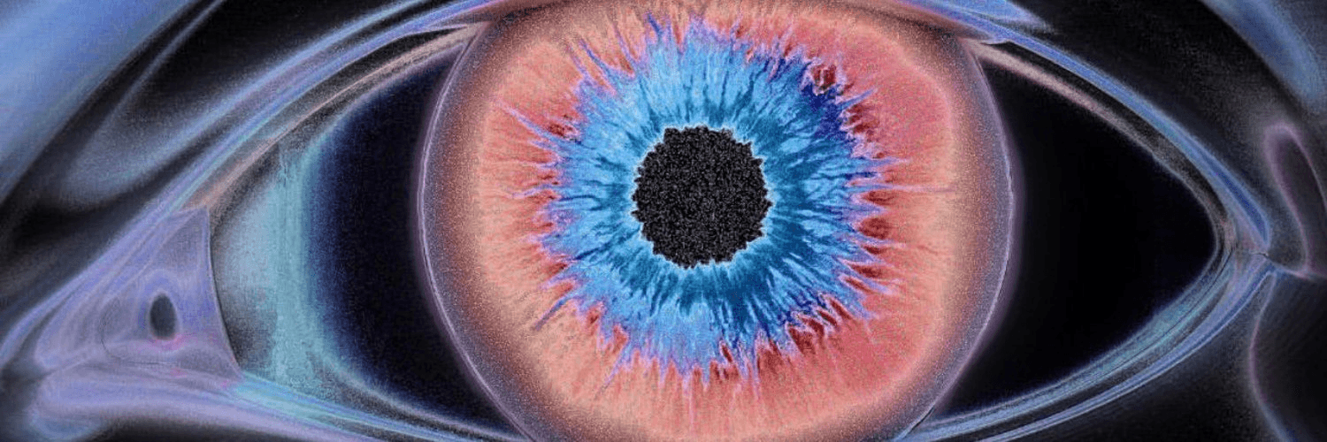 Barbell on the floor