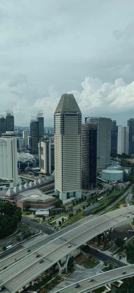 Picture of a building taken from Singapore flyer