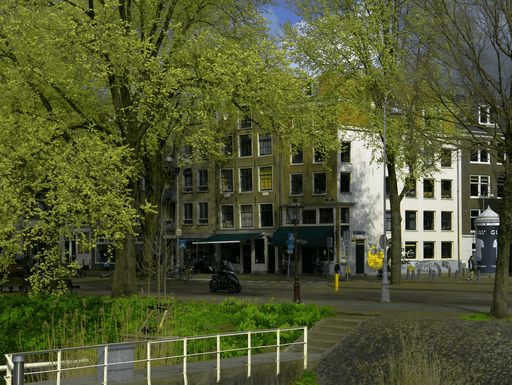 baumgutachten vom profi
