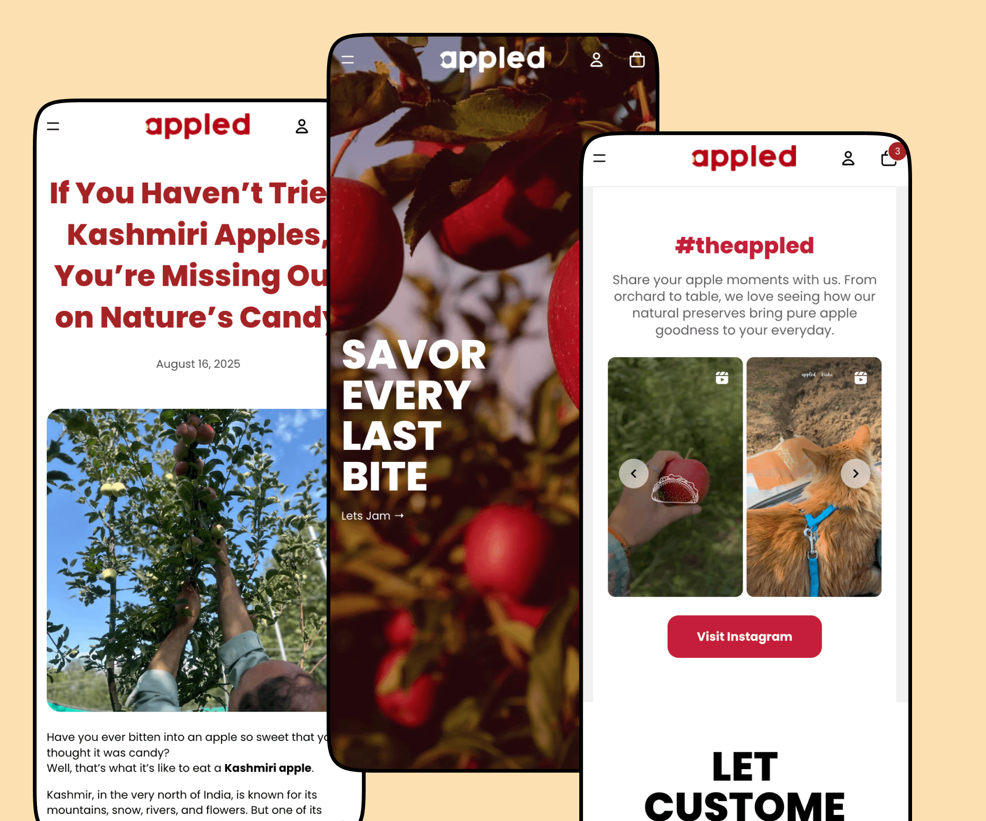 Project Content Image - 2