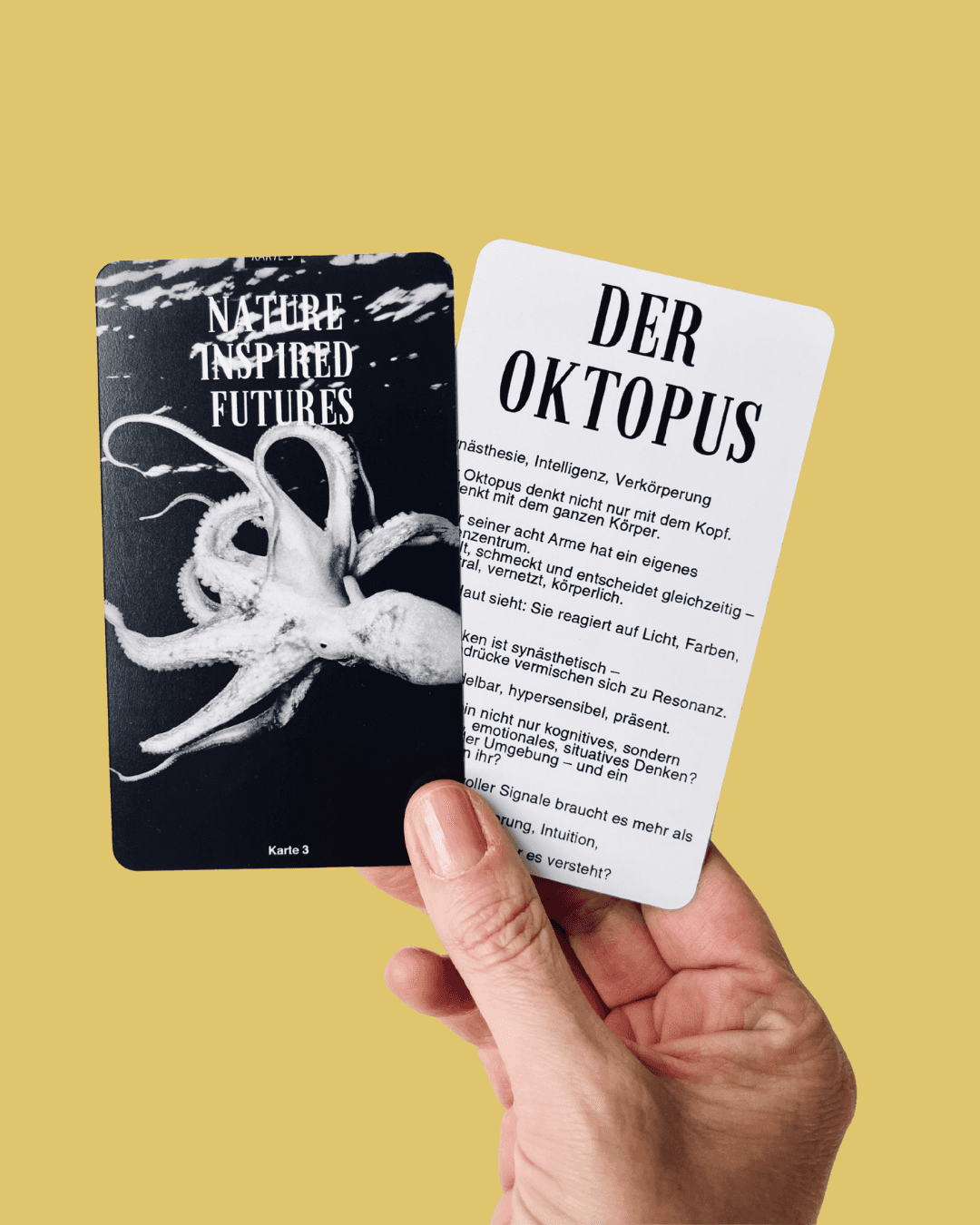 Kartenset von Adaptive Wonderland für kreative Futures Lab Prozesse