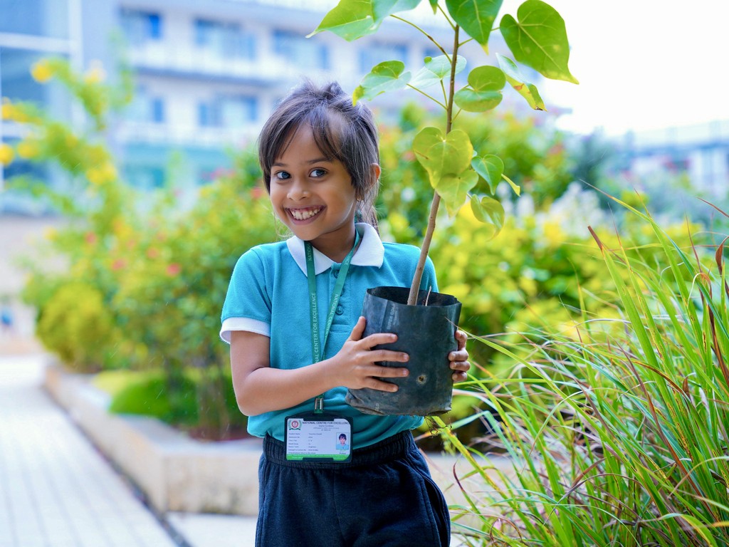 national centre for excellence - preparatory stage - Activity based learning