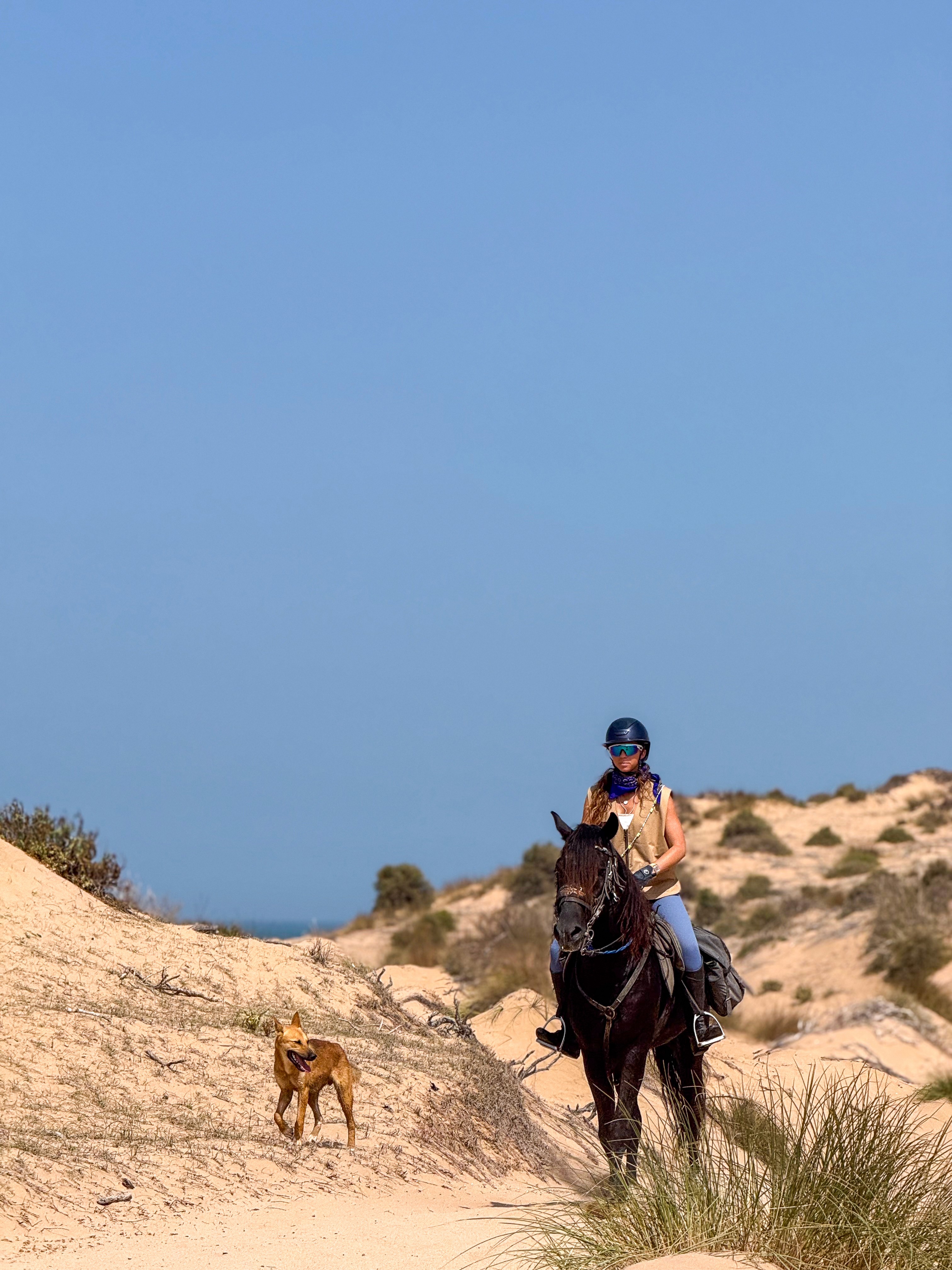 Wild Adventure