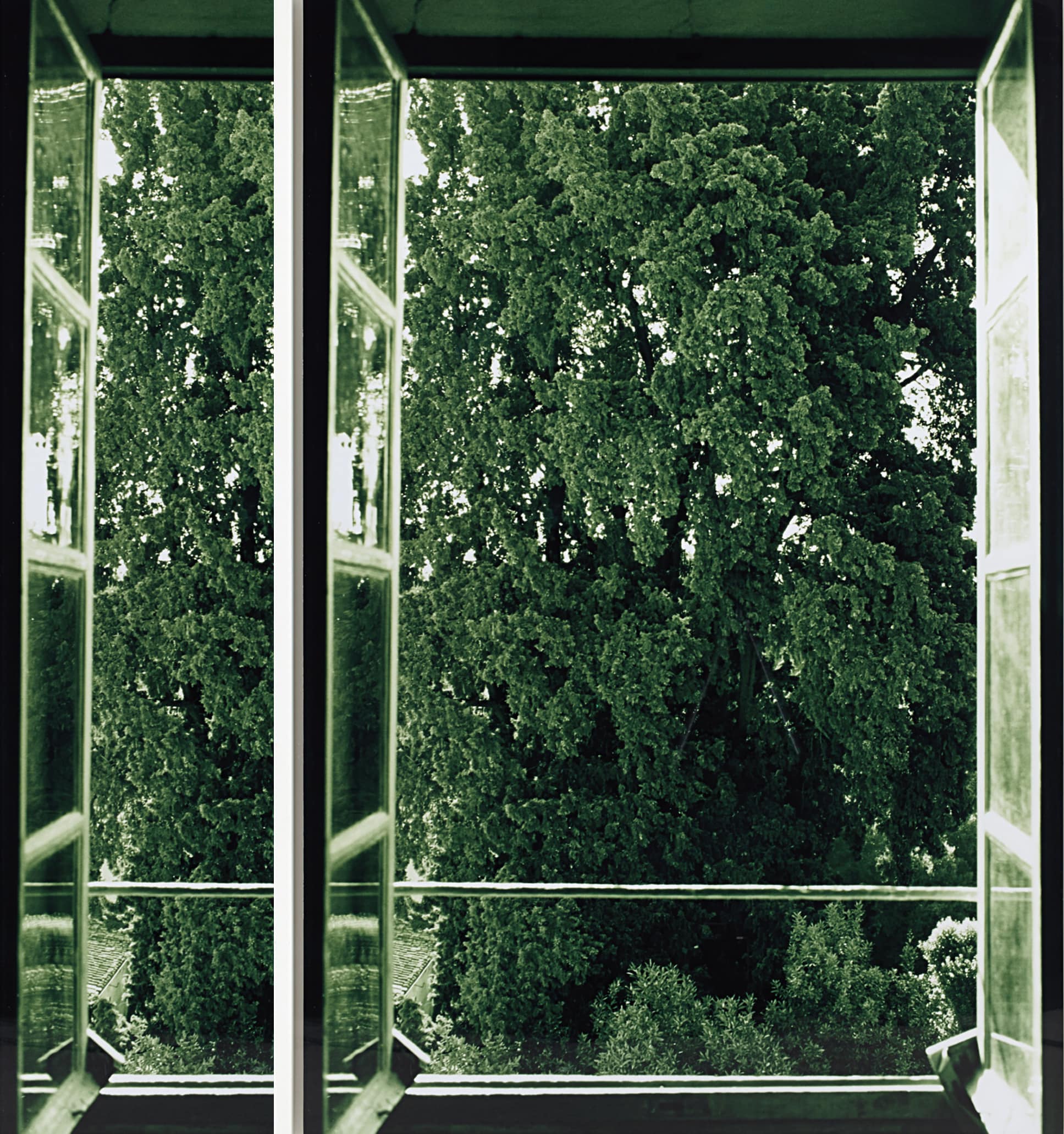 Portrait of Frank Ford