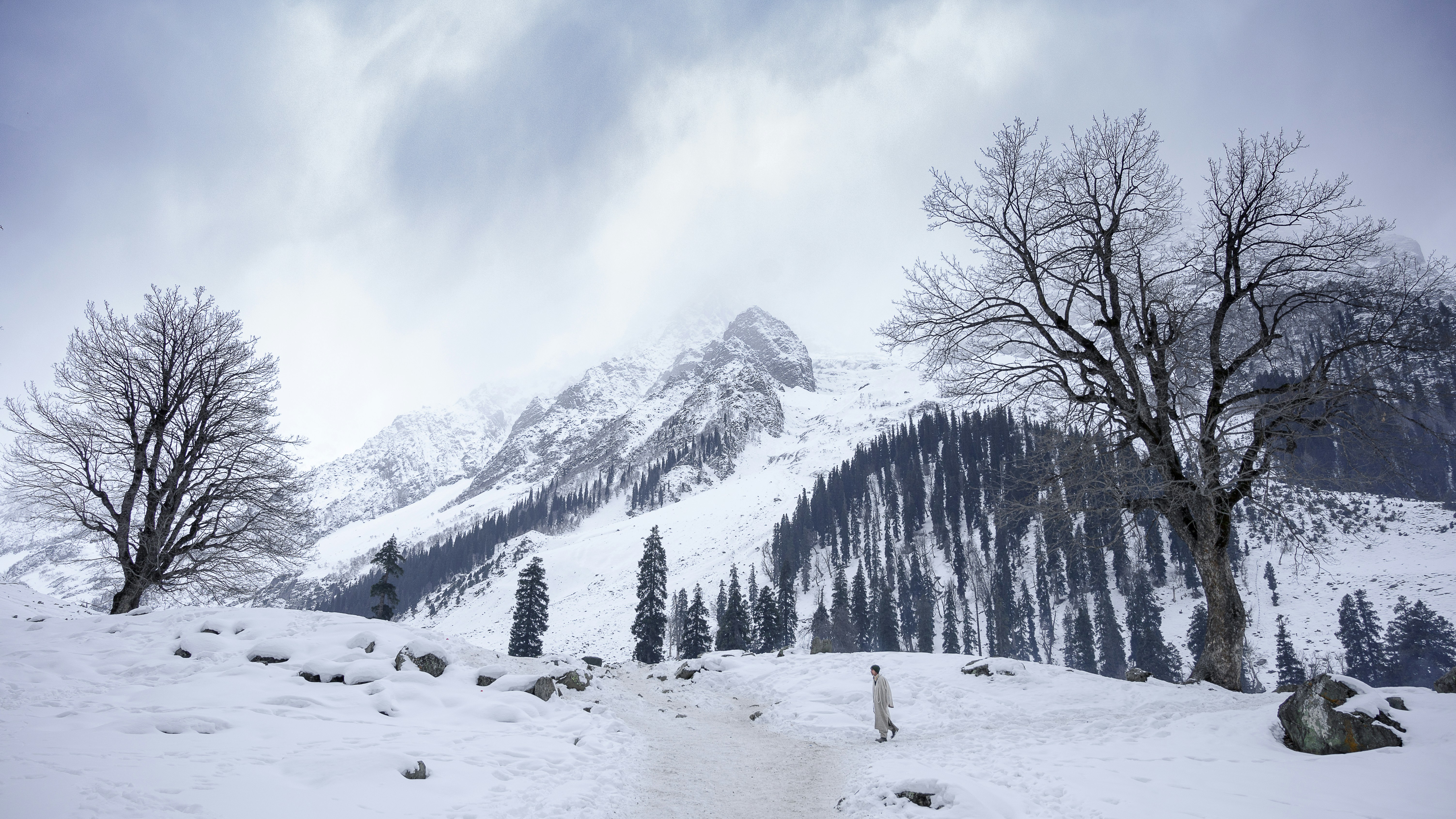 snowy meadow