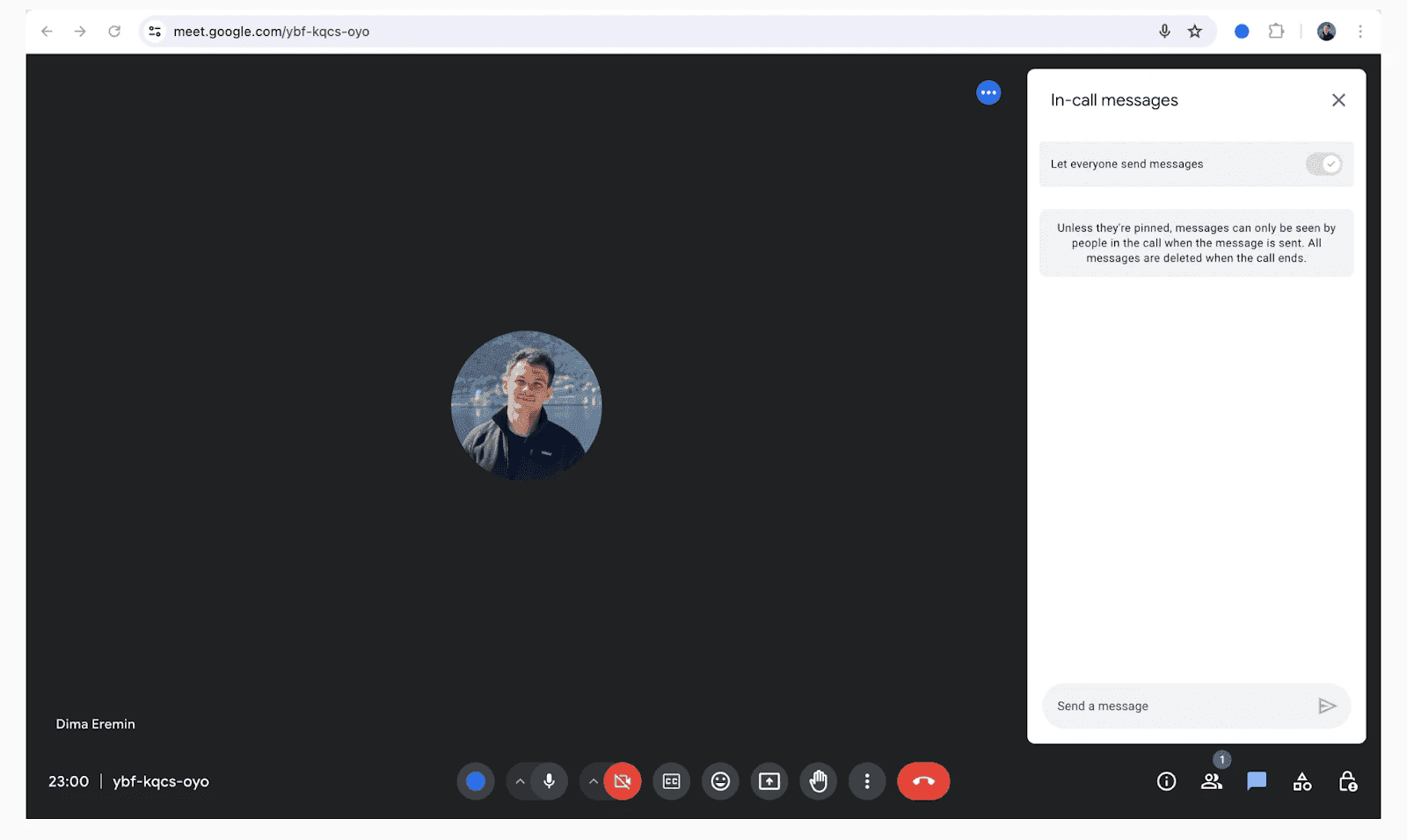 Google Meet audio conferencing interface